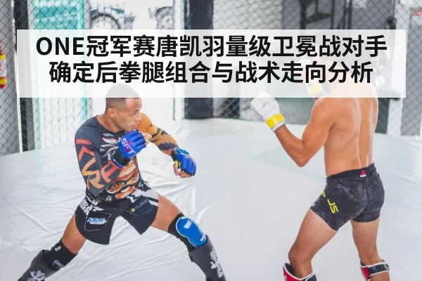 MMA fighter training